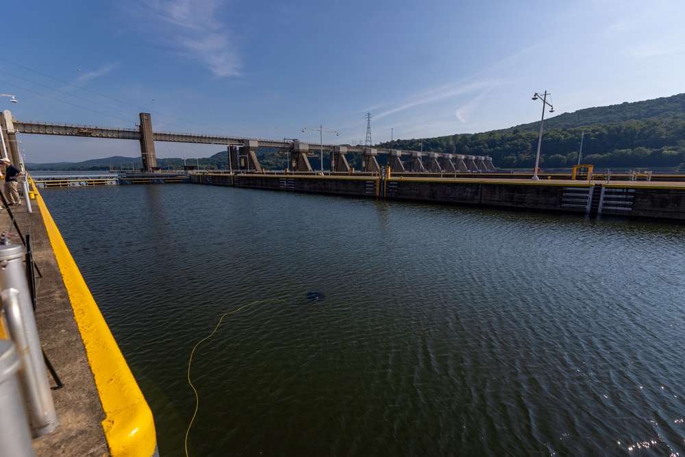 How an Automated Underwater Vehicle Cuts Underwater Risk, Cost and Guesswork