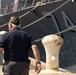 Tin Can Sailors Reunite Aboard USS Mcfaul