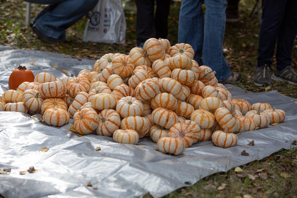 AKNG Child and Youth Program Fall Festival 2025