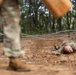 Indo-Pacific servicemembers conduct Pre-Ranger course (SURT) in Hawaii