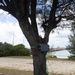 3rd Intelligence Battalion Maritime Sensor Team supports Resolute Dragon 25