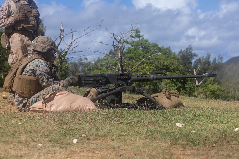 5th ANGLICO executes live-fire machine gun range