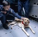 USS Mahan Hosts Capt. Sage