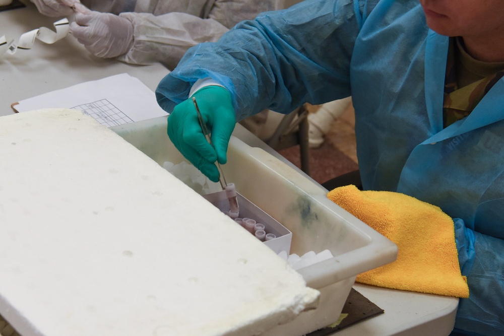 Air Force, VA preserve vital Vietnam, Korean War veteran biospecimens for future study