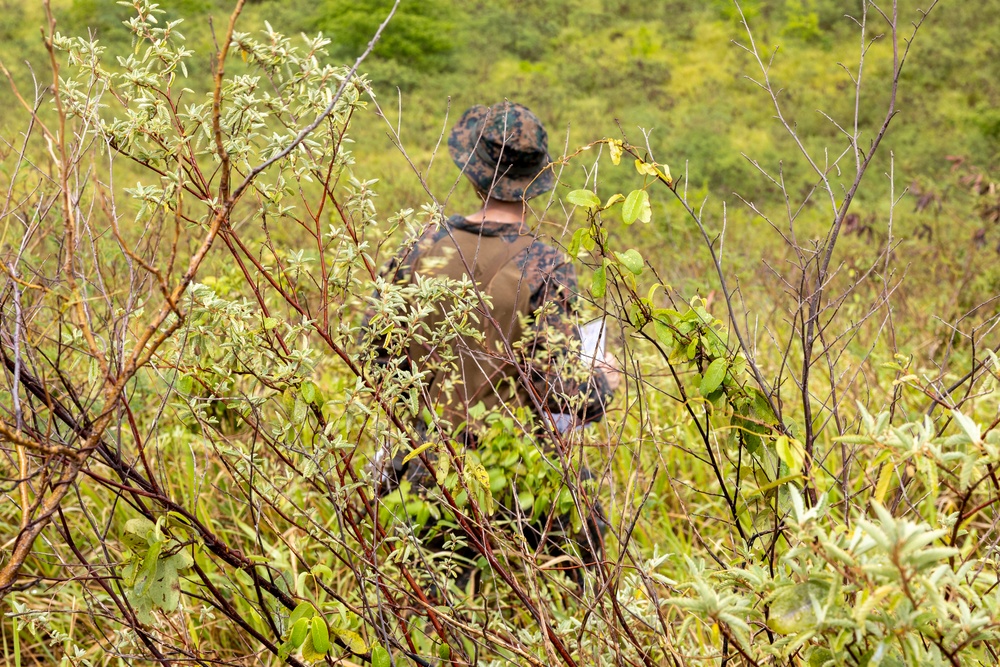 DVIDS - Images - 22nd MEU (SOC)| BLT 3/6, Weapons Company Land ...