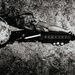 NMCB-3 Seabees Qualify With the M-4 Carbine