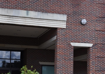 Call us Tree City USA