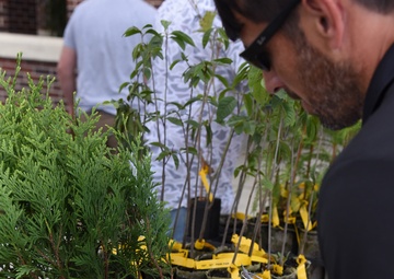 Call us Tree City USA