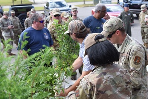 AFN Naples Regional News