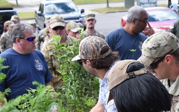 Call us Tree City USA