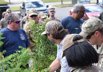 Call us Tree City USA