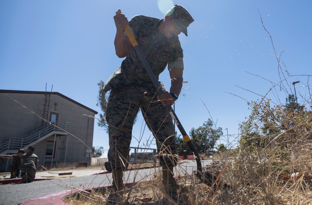 1st Intelligence Battalion Conducts Operation Clean Sweep III