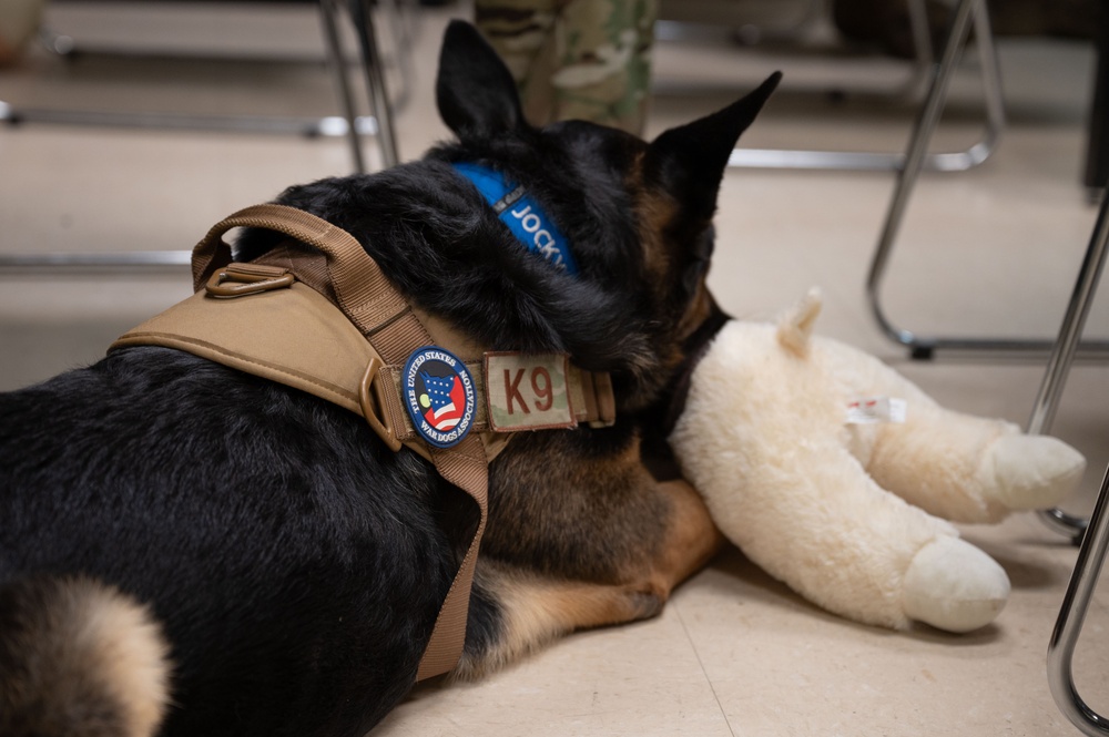 K9 TCCC training held at Eielson AFB