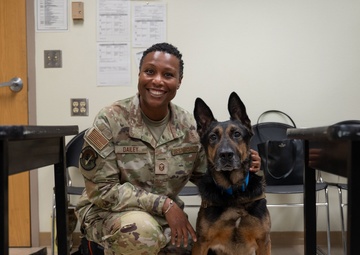 K9 TCCC training held at Eielson AFB