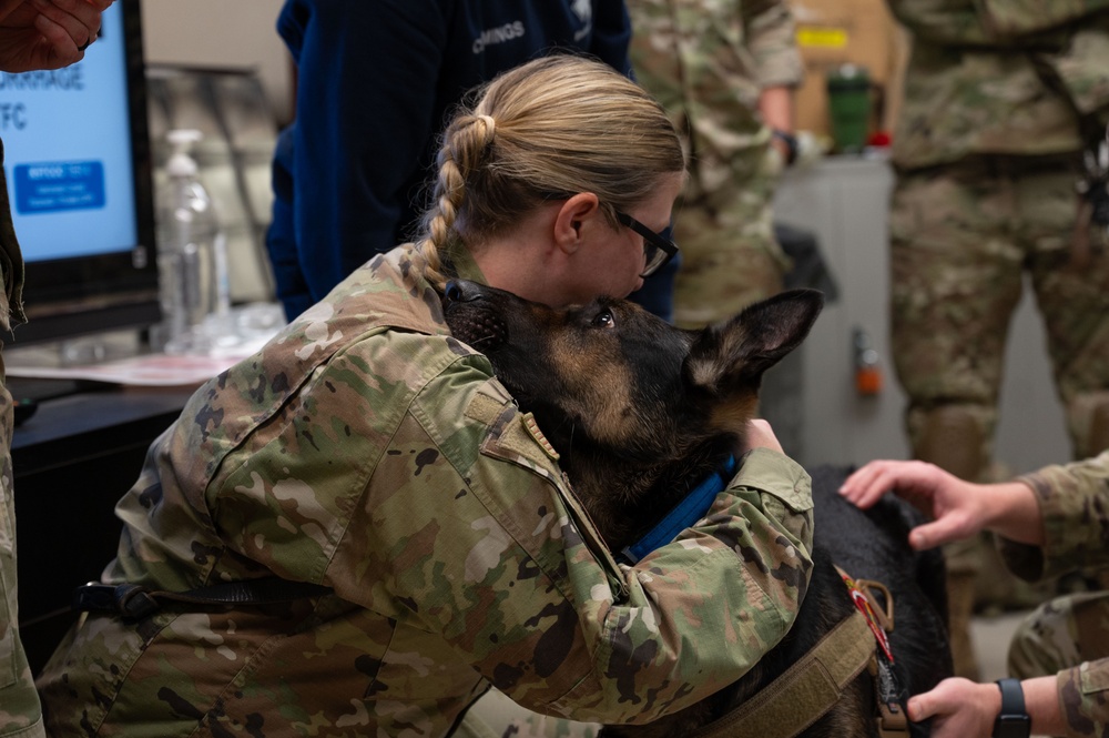 K9 TCCC training held at Eielson AFB