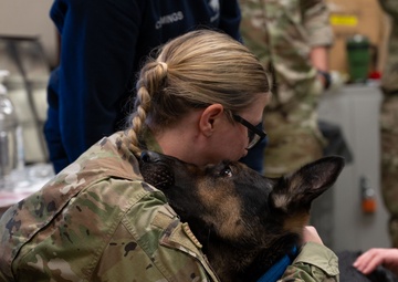 K9 TCCC training held at Eielson AFB