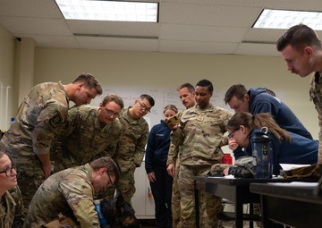 K9 TCCC training held at Eielson AFB