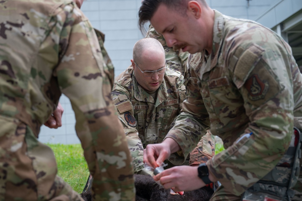 K9 TCCC training held at Eielson AFB