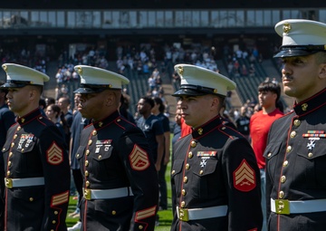 Chicago White Sox Honor September 11th and Applicants Call to Serve