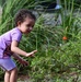 Butterflies released for fallen heroes