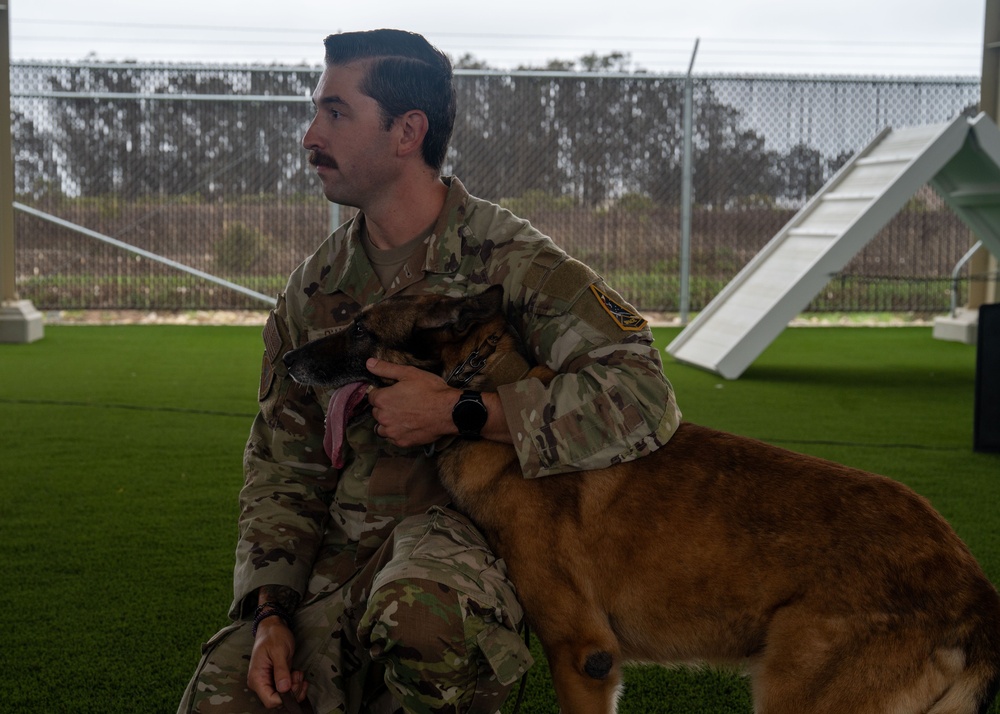 Vandenberg Military Working Dog Dani A248 Retires From Service