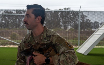 Vandenberg Military Working Dog Dani A248 Retires From Service