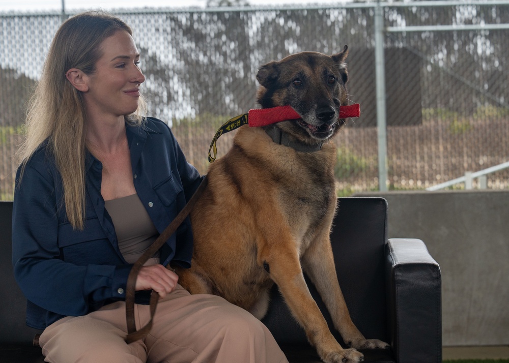 Vandenberg Military Working Dog Dani A248 Retires From Service