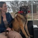 Vandenberg Military Working Dog Dani A248 Retires From Service