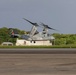 31st MEU | BLT 1/7 depart MCAS Futenma during Flight Operations