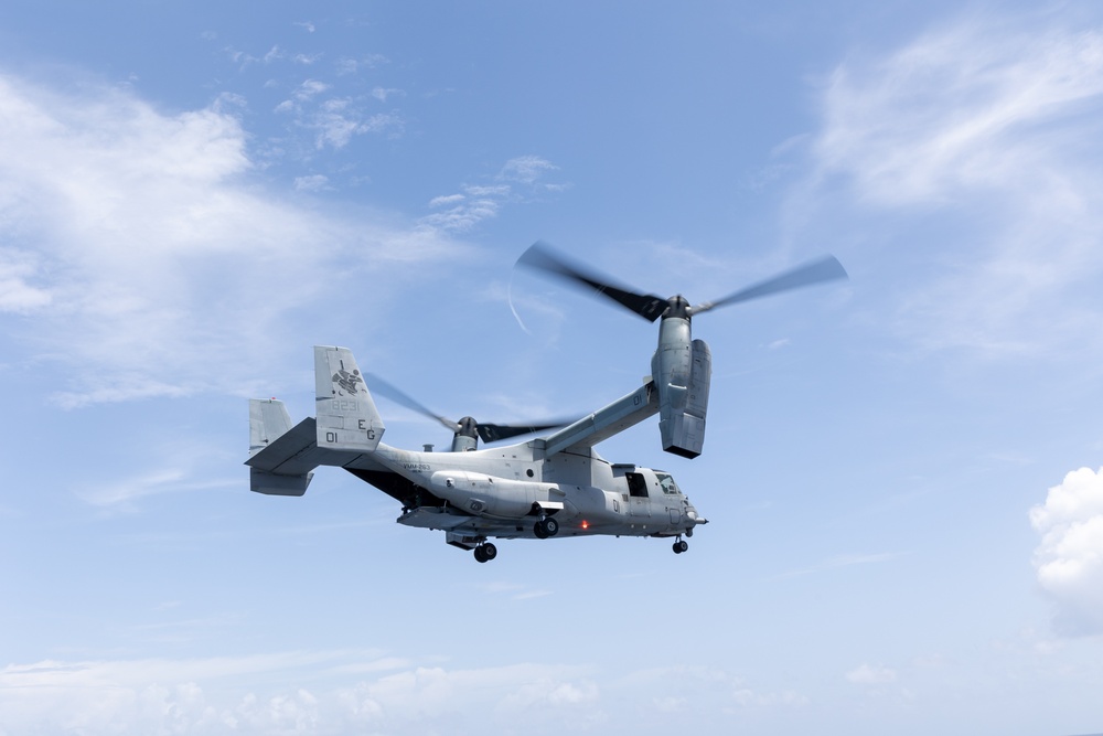 22nd MEU(SOC) | BLT 3/6 Disembarks for Amphibious Operations in Southern Puerto Rico