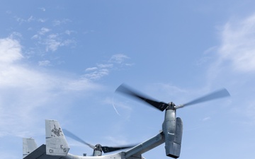 22nd MEU(SOC) | BLT 3/6 Disembarks for Amphibious Operations in Southern Puerto Rico