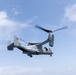 22nd MEU(SOC) | BLT 3/6 Disembarks for Amphibious Operations in Southern Puerto Rico