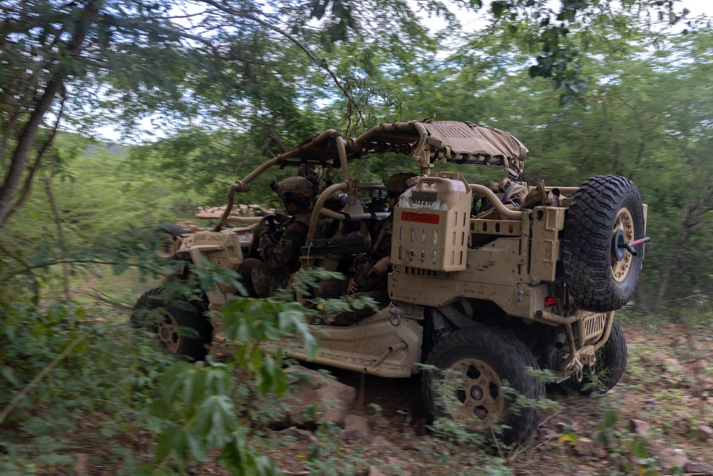 22nd MEU(SOC) | BLT 3/6 Conducts ULTV Patrol in Puerto Rico