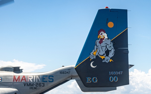 22nd MEU(SOC) | VMM-263 (REIN) Conducts Flight Operations