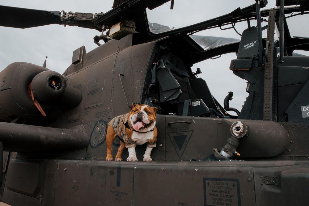 America’s Air Show 2025 Day 1: Lance Cpl Bruno Attends Air Show