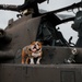 America’s Air Show 2025 Day 1: Lance Cpl Bruno Attends Air Show