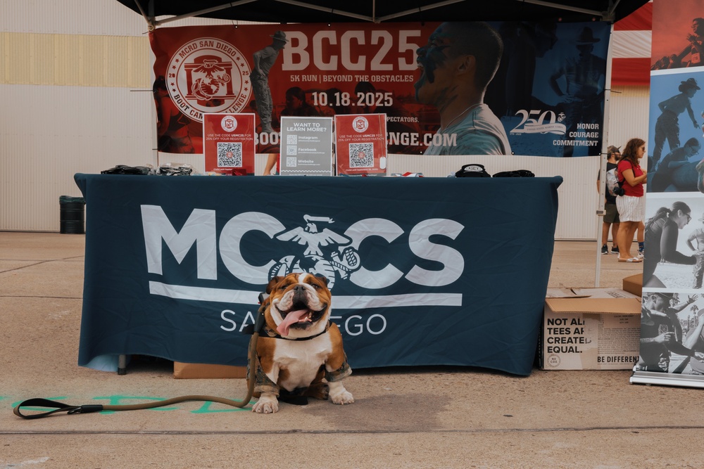 America’s Air Show 2025 Day 1: Lance Cpl Bruno Attends Air Show