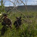 22nd MEU(SOC) | BLT 3/6 India Co. Weapons Range in Puerto Rico