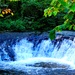 Fall 2025 views at Fort McCoy's Pine View Recreation Area