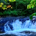 Fall 2025 views at Fort McCoy's Pine View Recreation Area