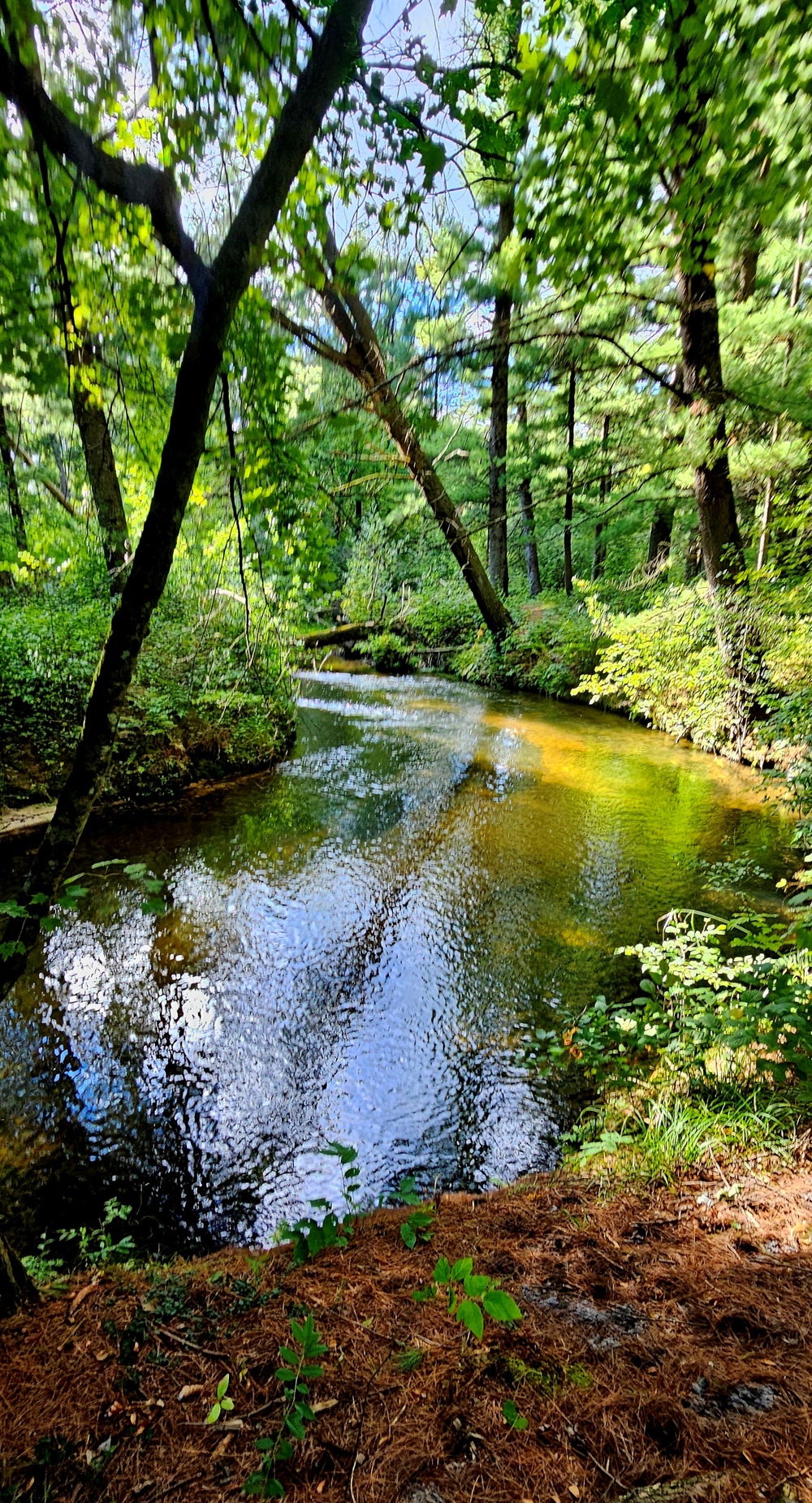 Fall 2025 views at Fort McCoy's Pine View Recreation Area