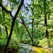 Fall 2025 views at Fort McCoy's Pine View Recreation Area