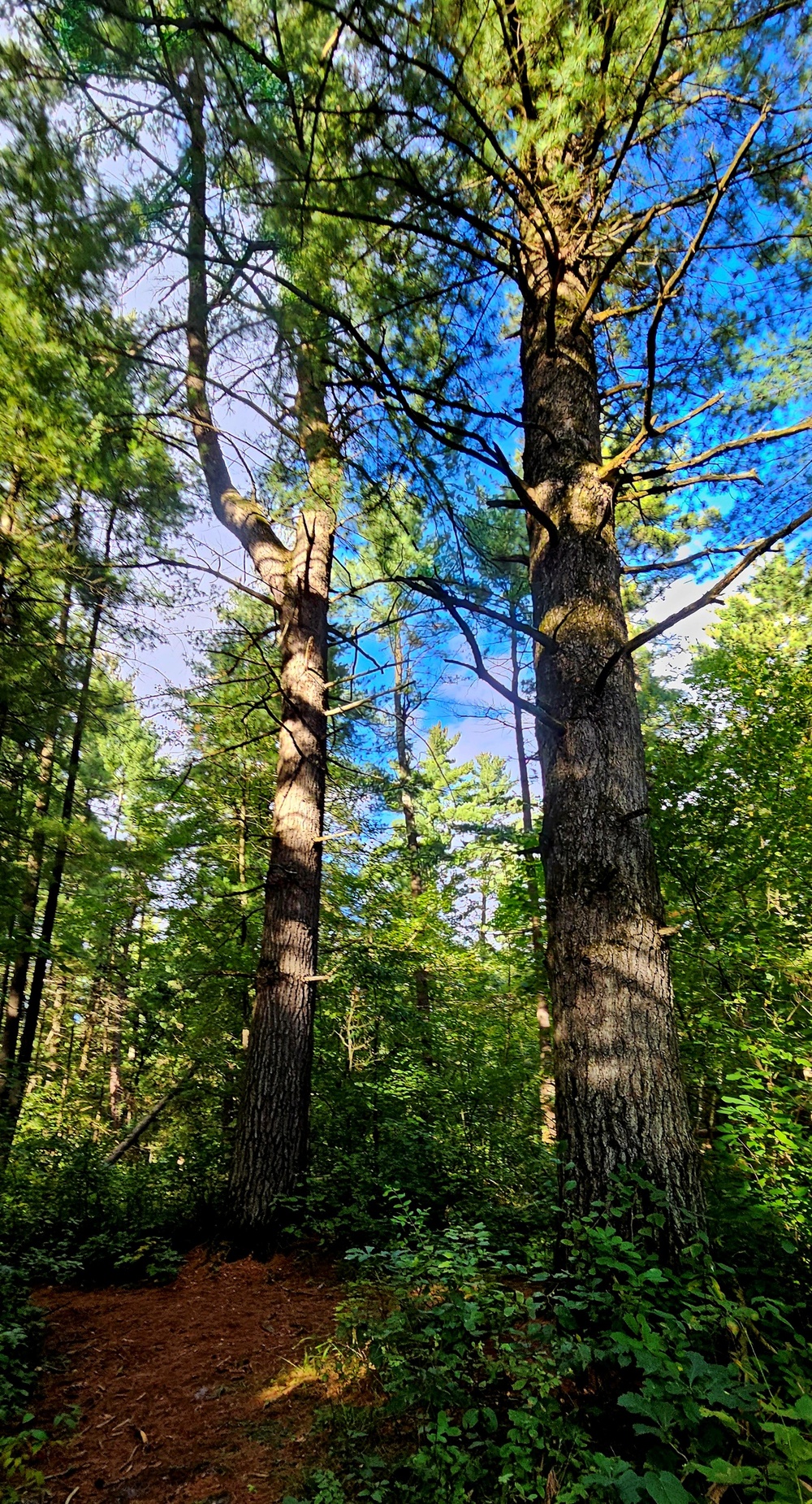 Fall 2025 views at Fort McCoy's Pine View Recreation Area