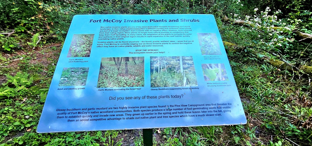 Fall 2025 views at Fort McCoy's Pine View Recreation Area