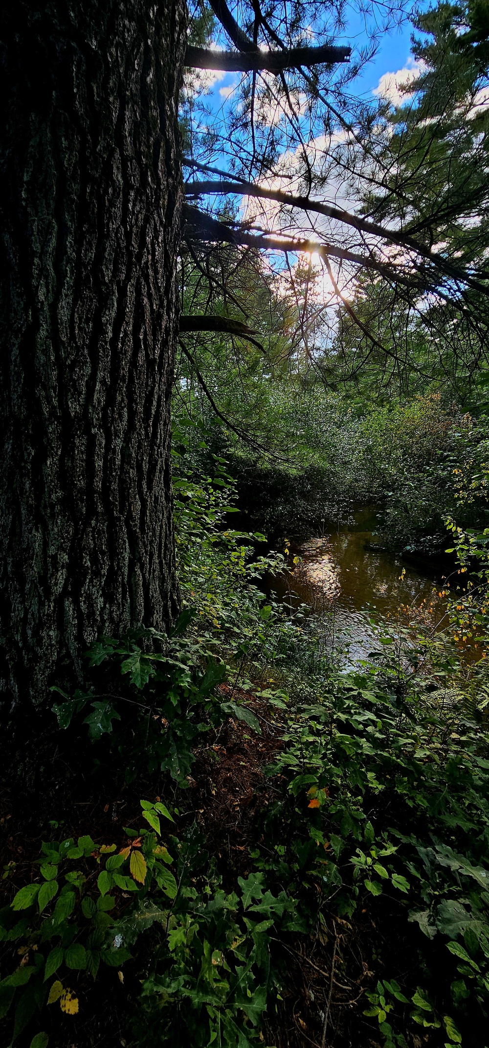 Fall 2025 views at Fort McCoy's Pine View Recreation Area