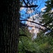 Fall 2025 views at Fort McCoy's Pine View Recreation Area