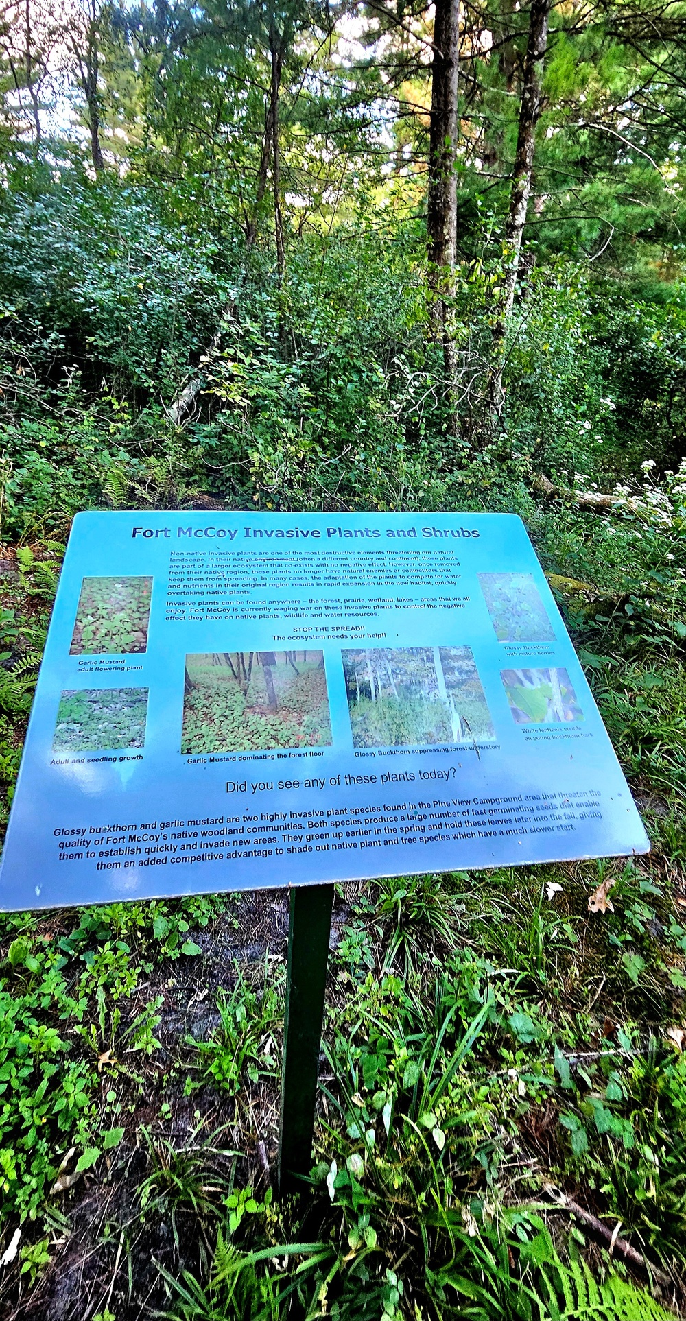 Fall 2025 views at Fort McCoy's Pine View Recreation Area