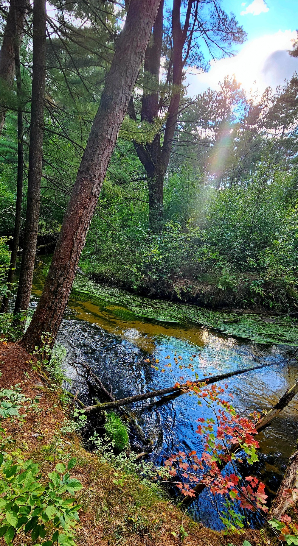 Fall 2025 views at Fort McCoy's Pine View Recreation Area
