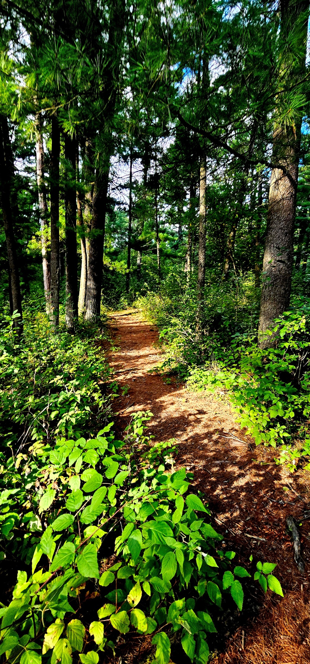 Fall 2025 views at Fort McCoy's Pine View Recreation Area