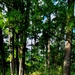 Fall 2025 views at Fort McCoy's Pine View Recreation Area